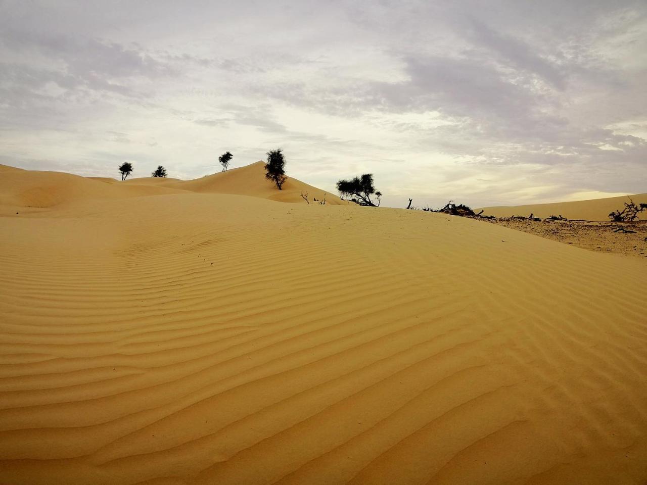 Hotel Queen Desert Camp Fulayj al Masha'ikh Exterior foto